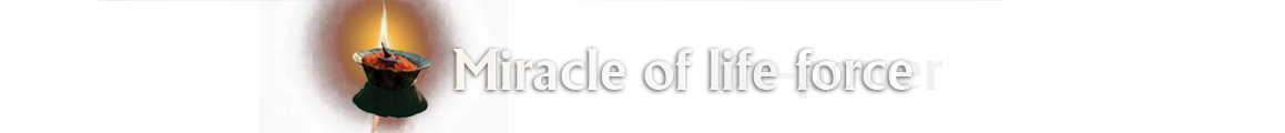 Miracle of life force - A journey to the force which works within us