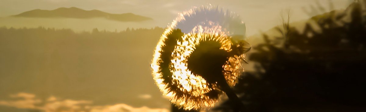 Vi mostriamo come usare questo potere primordiale della vita.